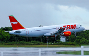 TAM Brazilian Airlines Airbus A320-214 (PR-MHS) at  Salvador - International (Deputado Luís Eduardo Magalhães), Brazil