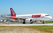 TAM Brazilian Airlines Airbus A319-112 (PR-MYB) at  Rio De Janeiro - Santos Dumont, Brazil