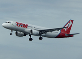 TAM Brazilian Airlines Airbus A320-214 (PR-MYG) at  Rio De Janeiro - Galeao - Antonio Carlos Jobim International, Brazil