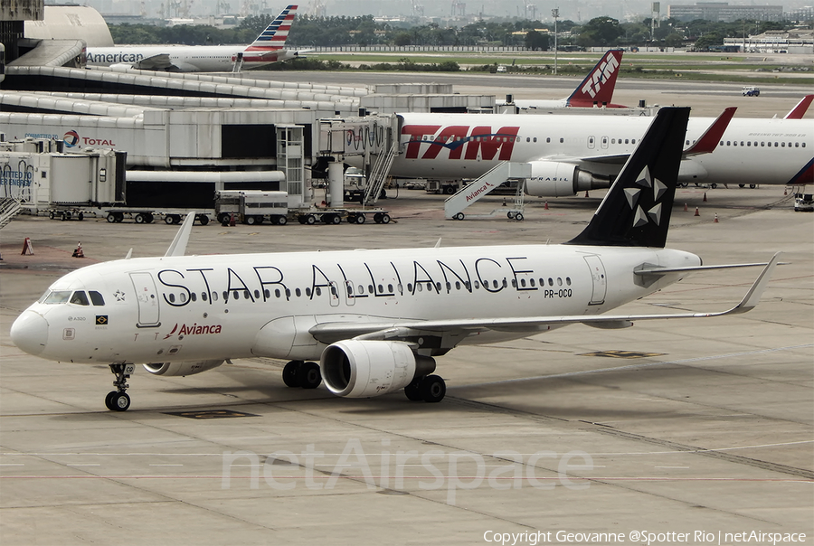 Avianca Brazil (Oceanair) Airbus A320-214 (PR-OCQ) | Photo 485843