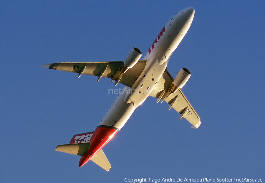 TAM Brazilian Airlines Airbus A320-214 (PR-TYF) | Photo 331234