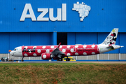 Azul Linhas Aereas Brasileiras Airbus A321-251NX (PR-YJF) at  Campinas - Viracopos International, Brazil