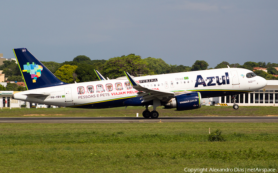 Azul Linhas Aereas Brasileiras Airbus A320-251N (PR-YRV) | Photo 538295