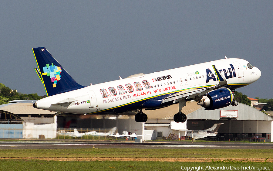Azul Linhas Aereas Brasileiras Airbus A320-251N (PR-YRV) | Photo 540074