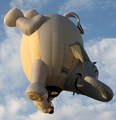 (Private) RVB Balloons Elephant SS (PR-ZEL) at  Albuquerque - Balloon Fiesta Park, United States