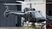 Brazilian Police Eurocopter AS350B2 Ecureuil (PT-HZF) at  Curitiba - Bacacheri, Brazil