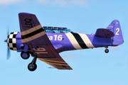 Esquadrilha Extreme North American AT-6D Texan (PT-LDQ) at  Sorocaba - Bertram Luiz Leupolz, Brazil