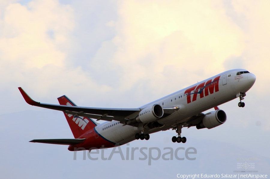 TAM Brazilian Airlines Boeing 767-316(ER) (PT-MOA) | Photo 236028