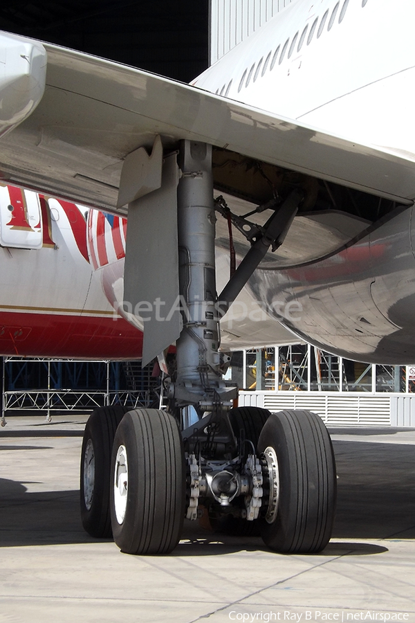 TAM Brazilian Airlines Airbus A340-541 (PT-MSN) | Photo 359583