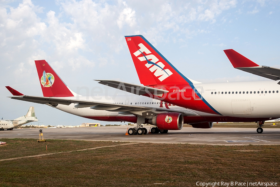 TAM Brazilian Airlines Airbus A340-541 (PT-MSN) | Photo 375334