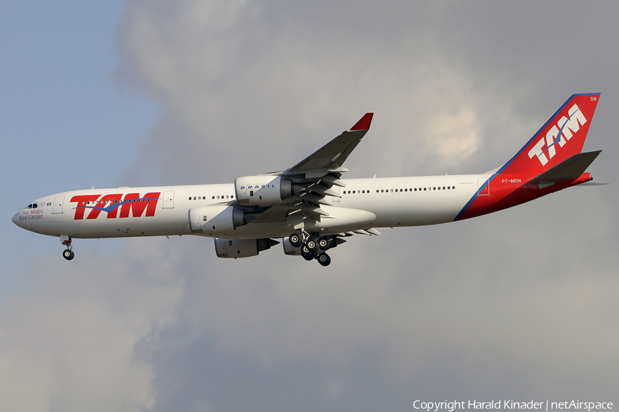 TAM Brazilian Airlines Airbus A340-541 (PT-MSN) | Photo 311220