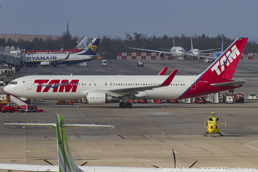 TAM Brazilian Airlines Boeing 767-316(ER) (PT-MSV) | Photo 265861