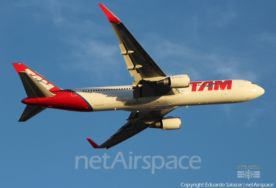 TAM Brazilian Airlines Boeing 767-316(ER) (PT-MSV) | Photo 464477