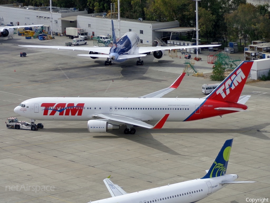 TAM Brazilian Airlines Boeing 767-316(ER) (PT-MSV) | Photo 45770