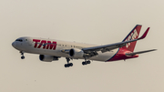TAM Brazilian Airlines Boeing 767-316(ER) (PT-MSX) at  Sao Paulo - Guarulhos - Andre Franco Montoro (Cumbica), Brazil