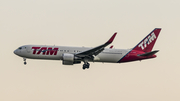 TAM Brazilian Airlines Boeing 767-316(ER) (PT-MSX) at  Sao Paulo - Guarulhos - Andre Franco Montoro (Cumbica), Brazil