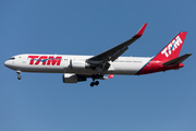 TAM Brazilian Airlines Boeing 767-316(ER) (PT-MSZ) at  Milan - Malpensa, Italy