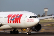 TAM Brazilian Airlines Airbus A330-203 (PT-MVF) at  Mexico City - Lic. Benito Juarez International, Mexico