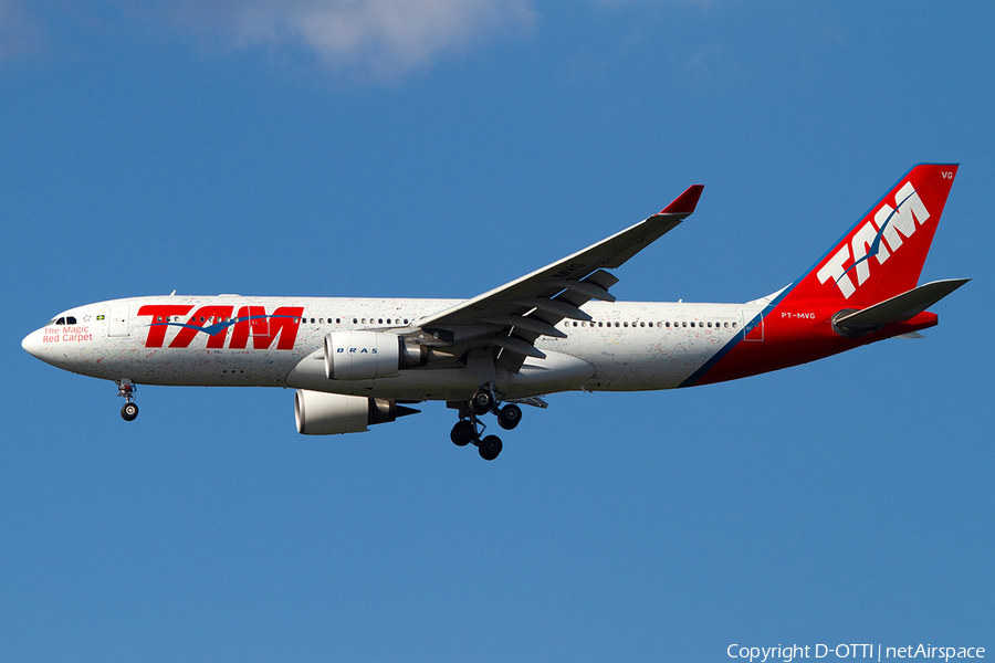 TAM Brazilian Airlines Airbus A330-203 (PT-MVG) | Photo 386329