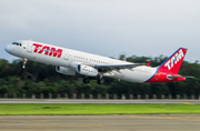 TAM Brazilian Airlines Airbus A321-231 (PT-MXG) at  São Luís - Marechal Cunha Machado International, Brazil