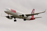 TAM Brazilian Airlines Airbus A321-231 (PT-MXJ) at  Sao Paulo - Guarulhos - Andre Franco Montoro (Cumbica), Brazil