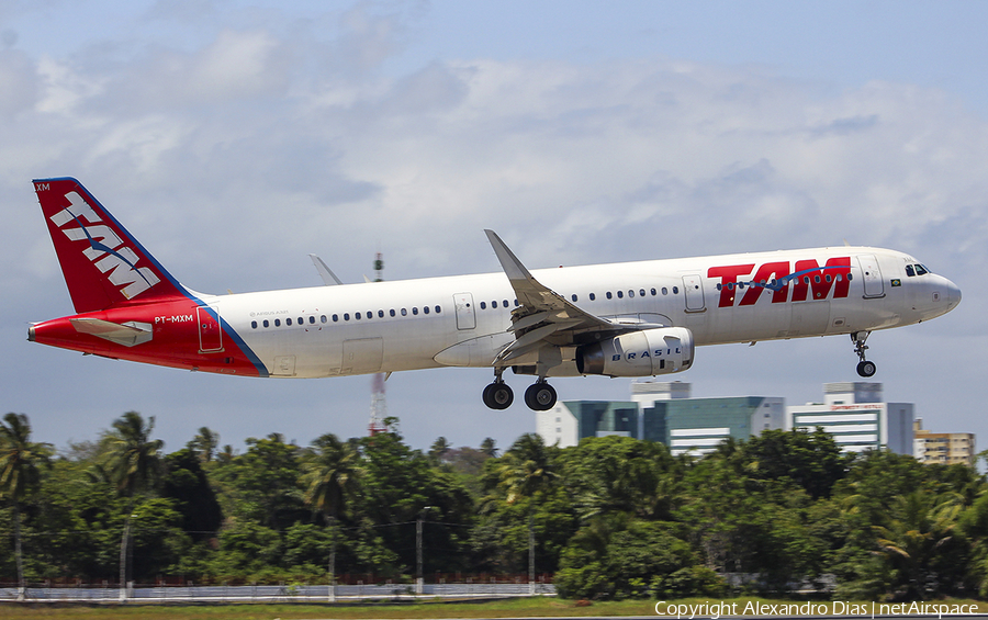 TAM Brazilian Airlines Airbus A321-231 (PT-MXM) | Photo 497942