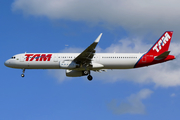 TAM Brazilian Airlines Airbus A321-231 (PT-MXO) at  Sao Paulo - Guarulhos - Andre Franco Montoro (Cumbica), Brazil