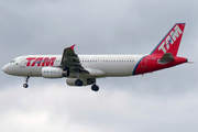 TAM Brazilian Airlines Airbus A320-232 (PT-MZL) at  Sao Paulo - Guarulhos - Andre Franco Montoro (Cumbica), Brazil