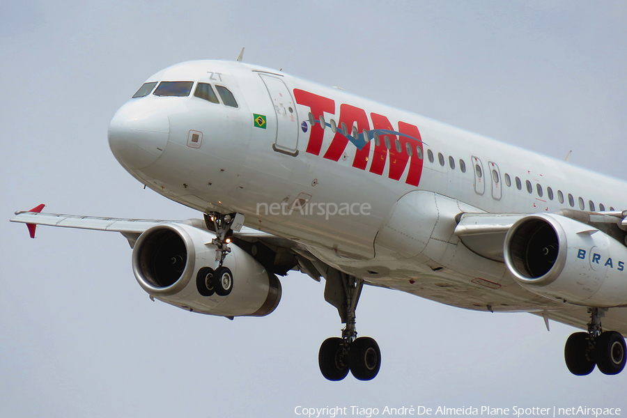 TAM Brazilian Airlines Airbus A320-232 (PT-MZT) | Photo 376366