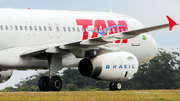 TAM Brazilian Airlines Airbus A320-232 (PT-MZW) at  Curitiba - Afonso Pena International, Brazil