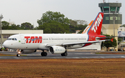 TAM Brazilian Airlines Airbus A320-232 (PT-MZY) at  Teresina - Senador Petrônio Portella, Brazil