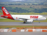 TAM Brazilian Airlines Airbus A319-132 (PT-TMA) at  Belo Horizonte - Tancredo Neves International, Brazil