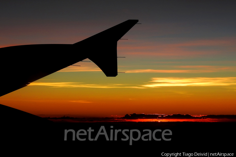 TAM Brazilian Airlines Airbus A319-132 (PT-TMB) | Photo 332891