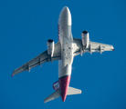 LATAM Airlines Brasil Airbus A319-132 (PT-TMC) at  Sao Paulo - Congonhas, Brazil