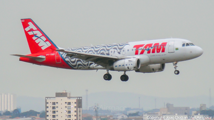 TAM Brazilian Airlines Airbus A319-132 (PT-TMD) | Photo 449347