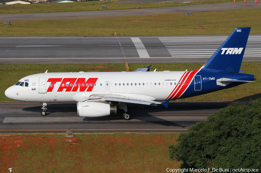TAM Brazilian Airlines Airbus A319-132 (PT-TMD) | Photo 55049