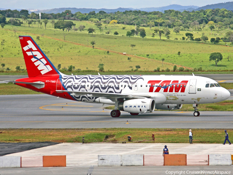 TAM Brazilian Airlines Airbus A319-132 (PT-TMD) | Photo 146735