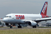 TAM Brazilian Airlines Airbus A319-132 (PT-TMF) at  Rio De Janeiro - Santos Dumont, Brazil