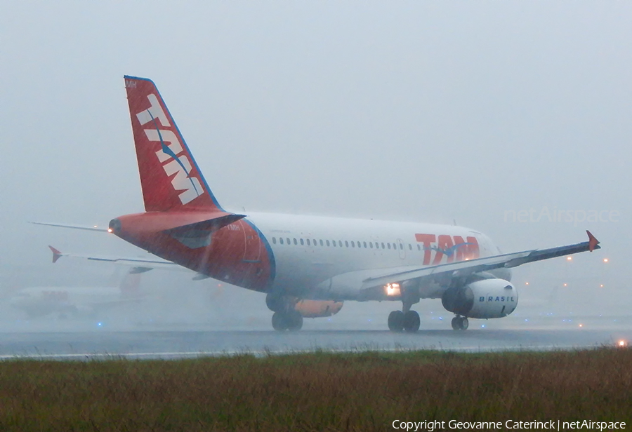 TAM Brazilian Airlines Airbus A319-132 (PT-TMH) | Photo 335272