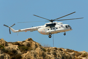 Scorpion Air Mil Mi-8T Hip-C (RA-25553) at  Heraklion - International, Greece