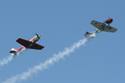 Smokewings Yakovlev Yak-52 (RA-3420K) at  Estoril, Portugal
