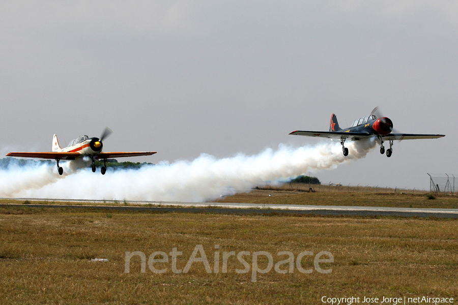 Smokewings Yakovlev Yak-52 (RA-3466K) | Photo 577841