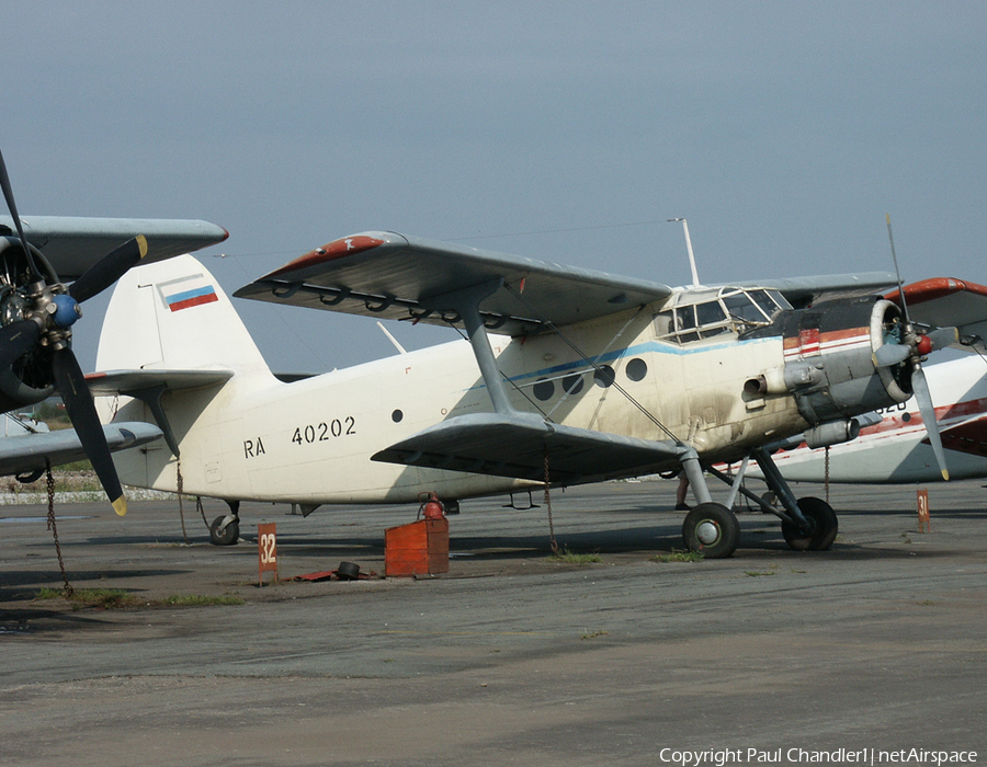 Aeroflot - Russian Airlines Antonov An-2R (RA-40202) | Photo 495758