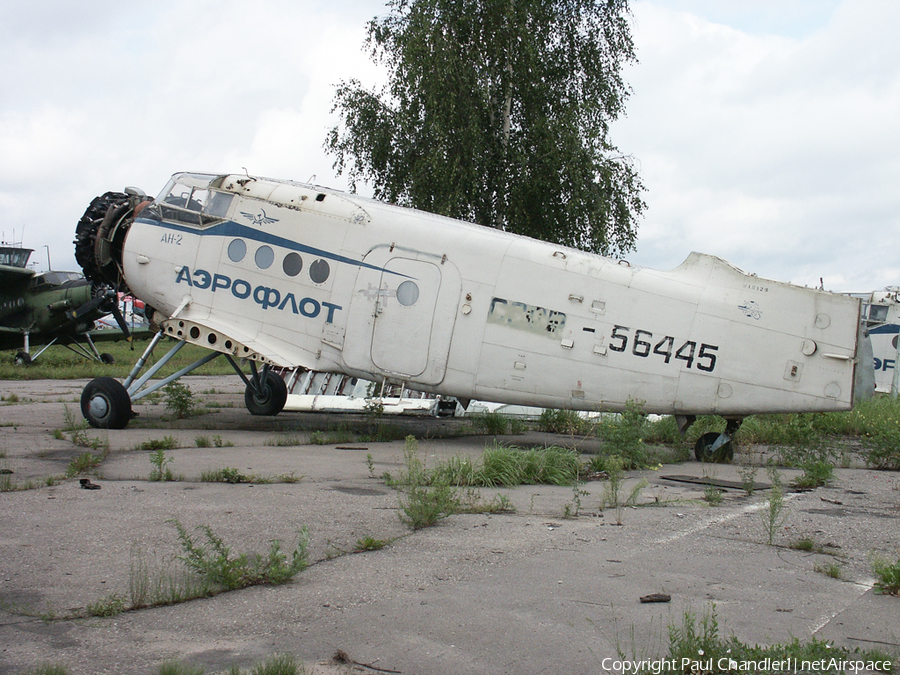 Aeroflot - Russian Airlines PZL-Mielec An-2R (RA-56445) | Photo 496852