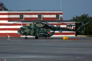 Russian Federation Border Guard Service Mil Mi-8MTV-2 Hip-H (RF-23134) at  Rostov-on-Don - International, Russia