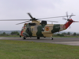 Belgian Air Force Westland Sea King Mk.48 (RS-01) at  Kleine Brogel AFB, Belgium