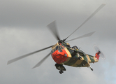 Belgian Air Force Westland Sea King Mk.48 (RS02) at  RAF Fairford, United Kingdom