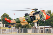 Belgian Air Force Westland Sea King Mk.48 (RS02) at  RAF Fairford, United Kingdom