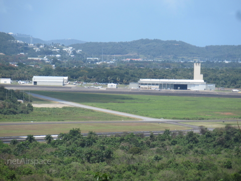 Ceiba - Jose Aponte de la Torre, Puerto Rico