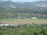 Ceiba - Jose Aponte de la Torre, Puerto Rico